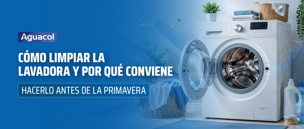 Limpieza profunda de lavadora con productos desinfectantes antes de la primavera