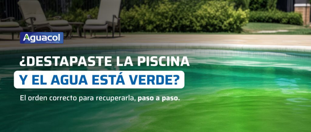 Piscina con agua verde siendo tratada con cloro y alguicida siguiendo el orden correcto de recuperación en temporada de primavera