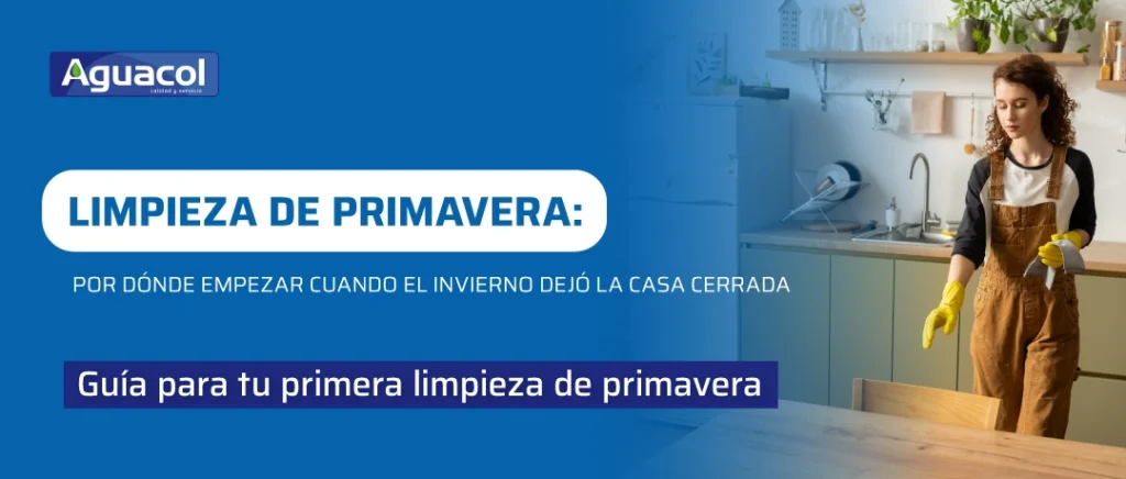 Limpieza de primavera por zonas en el hogar con productos de limpieza específicos